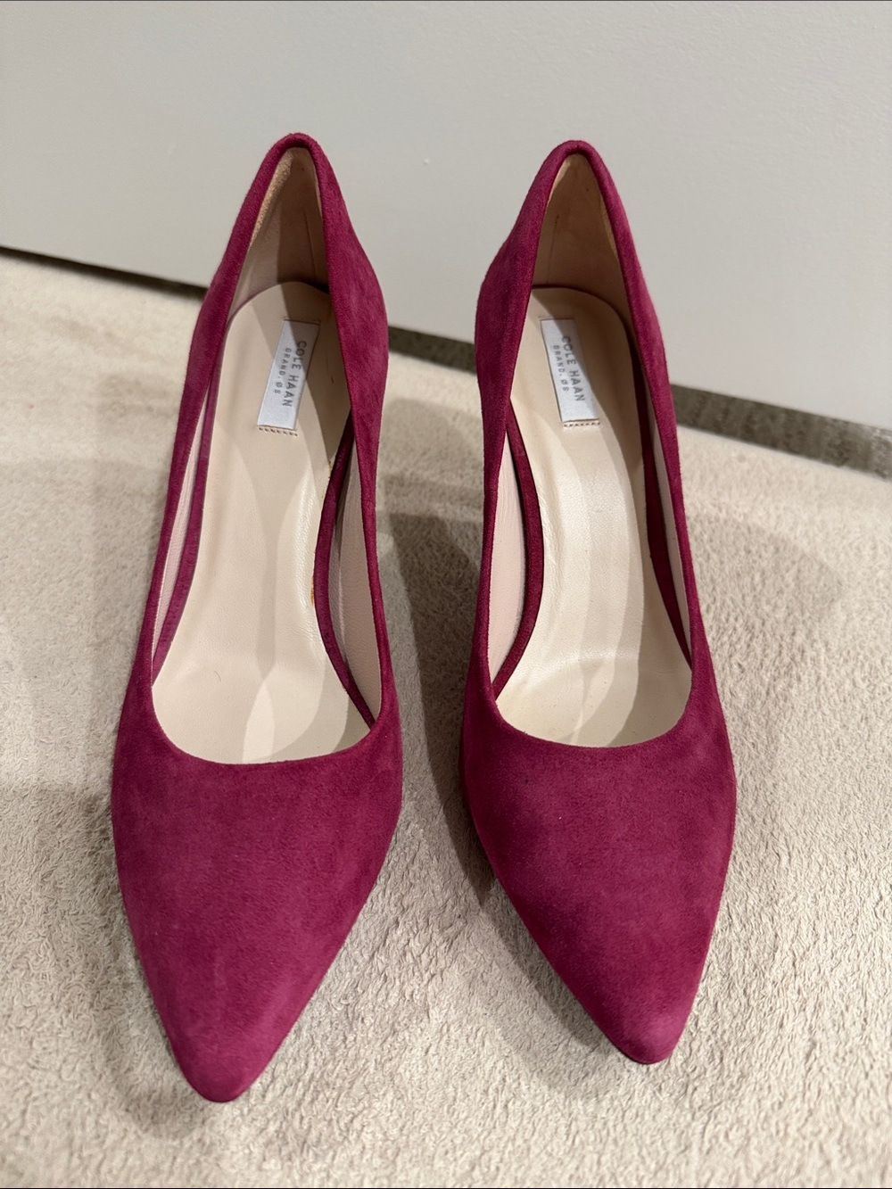 Cole Haan Women's Pointed Suede Pumps - Wine